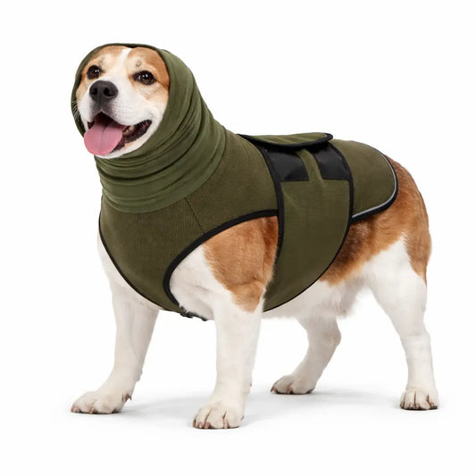 Kamizelka uspokajająca – kamizelka uspokajająca dla psów, gdy są same